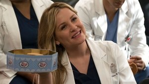 Grey’s Anatomy: 14×20
