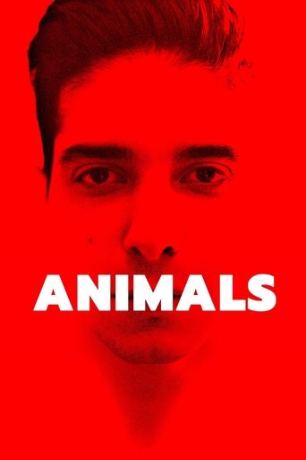 animals 2021
