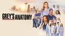 2005 - Grey's Anatomy thumb